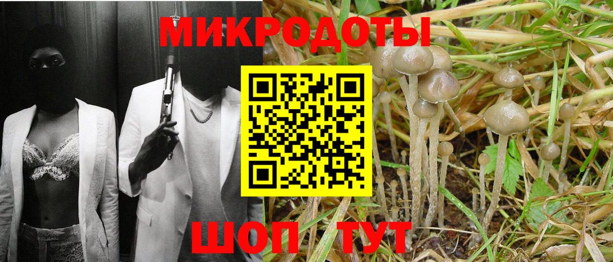 Галлюциногенные грибы прущие грибы Асино